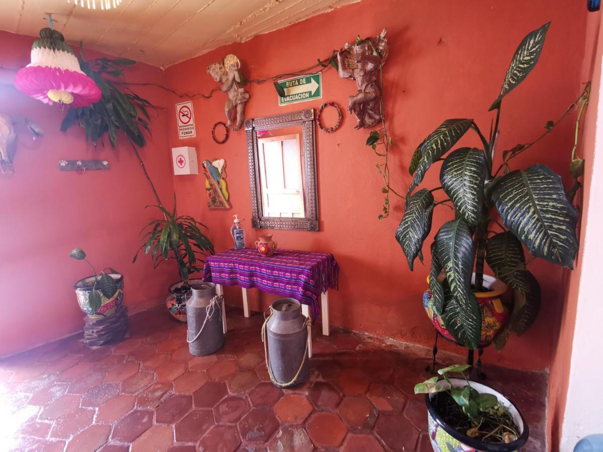 La Casa Del Abuelo Hostel San Miguel de Allende Buitenkant foto